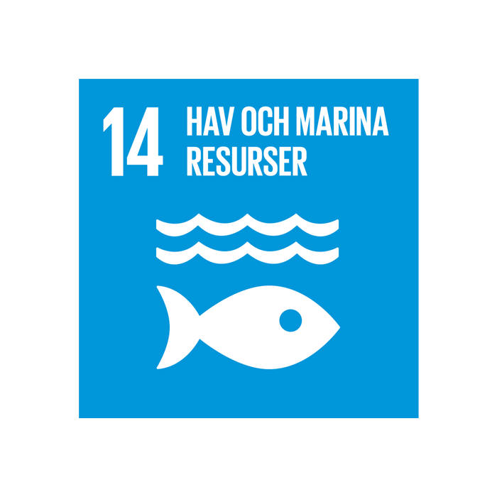 FN:s hållbarhetsmål - Hav och marina resurser
