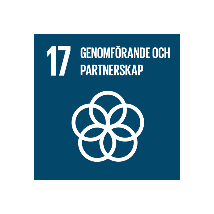 FN:s hållbarhetsmål - Genomförande och partnerskap